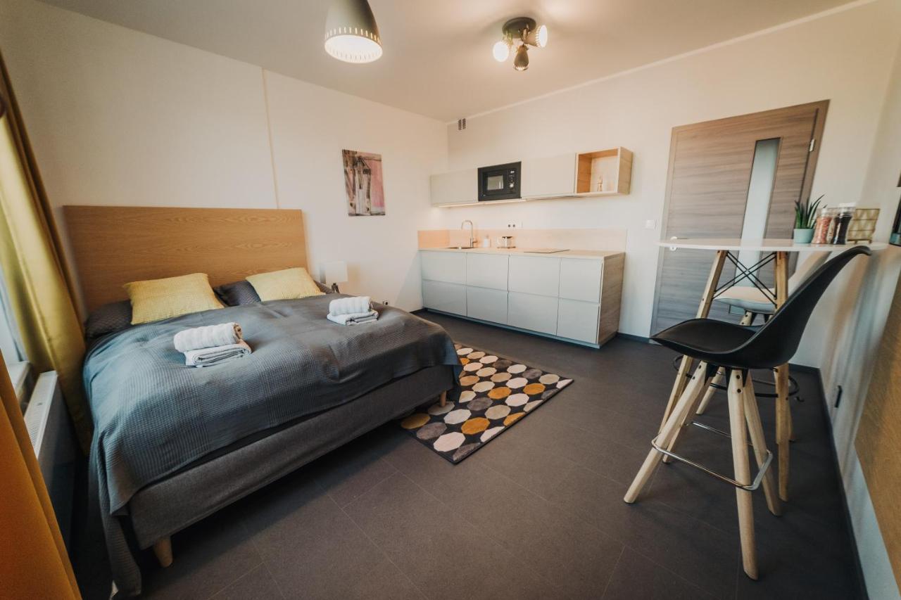 Beautiful New Studio, 400M From The Square Appartement Plzeň Buitenkant foto